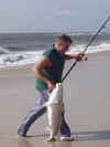 beachedfish.jpg (60674 bytes)