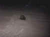 turtle3.jpg (73525 bytes)
