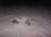 turtle7.jpg (79196 bytes)