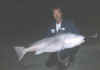 BIGFISH2.jpg (179318 bytes)
