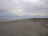 IM000785.JPG (64217 bytes)