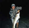 Kingfish3.jpg (54433 bytes)