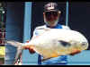 bigfish2.jpg (226830 bytes)