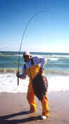 bigflounder 1.jpg (24480 bytes)