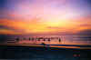 jetty.jpg (22787 bytes)